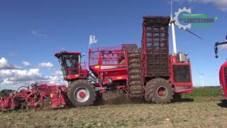 World Record Holmer Sugar beet harvester Terra Dos T4 [upl. by Rellia838]