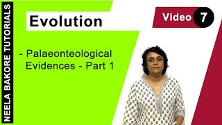 Evolution  NEET  Palaeonteological Evidences  Part 1  Neela Bakore Tutorials [upl. by Navis8]