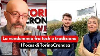 I FOCUS DI TORINOCRONACA LA VENDEMMIA DEL NEBBIOLO CHE VINI AVREMO [upl. by Sukram467]