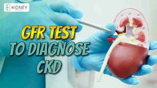 GFR Test To Diagnose Chronic Kidney Disease CKD  Glomerular Filtration Rate [upl. by Amerd]