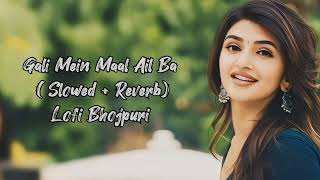 Gali Mein Maal Ail Ba  Slowed  Reverb  Lofi songs bhojpuri trending [upl. by Einwat]