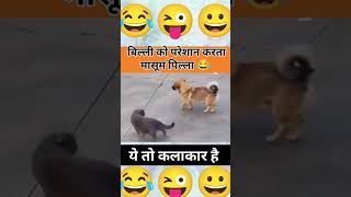 Oscar winning actor 🤣🐕🧐 shorts funny trending [upl. by Nylsirk]