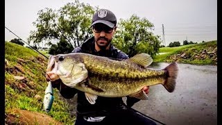 Big Bass CRUSHES SWIMBAIT in a DRAIN [upl. by Boleslaw]