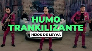 Hijos de Leyva  Humo Trankilizante Video Oficial 2018 [upl. by Tacklind551]