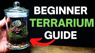 How To Make a Terrarium  A SIMPLE Beginner Guide [upl. by Maurie]