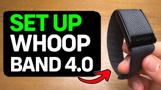 How To Set Up Whoop Band 40 [upl. by Napas]