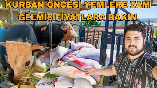 KURBAN BAYRAMI ÖNCESİ GÜNCEL YEM FİYATLARISATILIK KURBANLIK KUZULAR [upl. by Aicittel474]