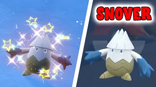 Full Odds Shiny Snover 459 in Pokémon Scarlet and Violet [upl. by Atinele]