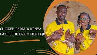 Chicken framing in Kenya Layers Broiler or Kienyeji CREST FARM farming chicken inspirational [upl. by Eolande]