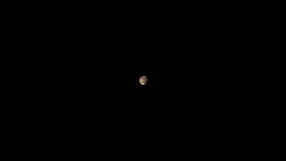 Mars through telescope Celestron NexStar 8SE [upl. by Novia]