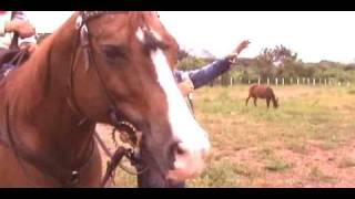 VIDEO DE MUSICA LLANERA DE MERIDA PAL LLANO JESUS CASTRO EL CABALLERO DEL PASAJE [upl. by Heimer546]