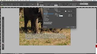 Outer glow effect in indesign tutorial adobesoftware adobedesign [upl. by Ayoted]