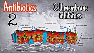 Antibiotics 2  polymyxins [upl. by Noelc]