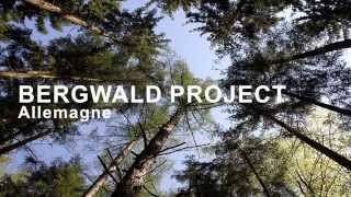 BERGWALD PROJECT  ALLEMAGNE  Présentation FR [upl. by Laing]