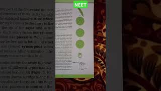 MORPHOLOGY OF FLOWERING PLANTS placentation typeMarginalAxileParietalFree central Basal neet [upl. by Louisette]