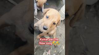 Kuttar baccha New song 🤫🤣 trending comedy funnyclips youtubeshorts mansarytv [upl. by Nedi]