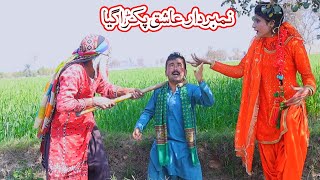 Numberdar Aashiq Pakda GayaFunny VideoRockitHelmetNew 2024Saraiki CommedyPunjabi ClipsDadi420 [upl. by Olav]