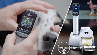 Reichert® TonoVera® Vet Veterinary Tonometer with ActiView™ Positioning System  Product Use [upl. by Ardnahcal765]