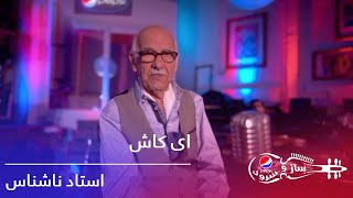 استاد ناشناس  ای کاش  Pepsis Saz O Surood  Ustad Nashenas  Ay Kash [upl. by Akerley]