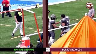 VFA Gold Bowl 2024 Sem 7 Mastines Negros vs Burros Blancos [upl. by Arem]