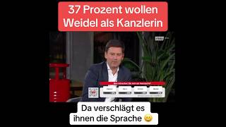 37 Prozent wollen Weidel als Kanzlerin Da verschlägt es ihnen die Sprache [upl. by Asiluj]