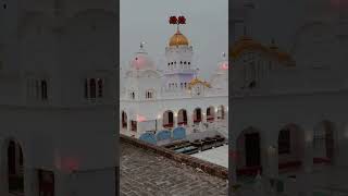 Gurudwara sahib dhamtan sahib ji virlshort like and subscribe [upl. by Lien]