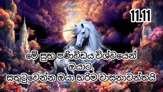 මේ විශ්වයෙන් ලැබෙන සුභ පණිවිඩය හොදින් තේරුම්ගන්නlaw of attraction law of attraction sinhala [upl. by Tavey]