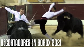 ⚠️ ¡UN TORO BRAVO DE 600KG PARA LOS RECORTADORES · 💥 CONCURSO DE RECORTES EN BOROX [upl. by Pulling]