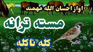 پشتو مسته ترانهزړه ارامونکی ترانه ويونکي احسان الله مهمند [upl. by Nisaj]