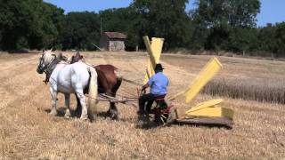 La moisson du blé à lancienne [upl. by Allevon]