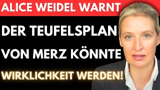 ALICE WEIDELS LETZTE WARNUNG 🚨 Merz LOCKT uns gerade in EINE FALLE unfassbar [upl. by Secrest]