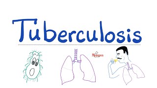 Tuberculosis TB  The Most Comprehensive Explanation  Respiratory Pathology  Pulmonology Series [upl. by Siegel]