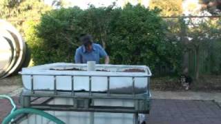 Building an ibc aquaponic system [upl. by Ijneb972]