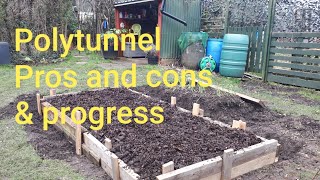 Polytunnel Pros and cons amp progress so far [upl. by Marla884]