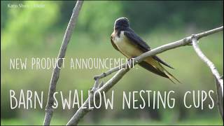 NEW Barn Swallow Nesting Cups [upl. by Pacifica748]