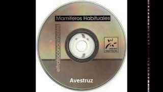 03  Mamíferos Habituales  Avestruz [upl. by Ternan]