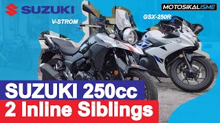 SUZUKI GSX250R VS SUZUKI VSTROM 250  THE 2INLINE 250cc SIBLINGS [upl. by Joannes]