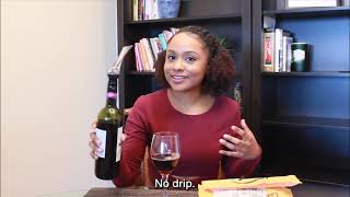 Vintorio Wine Aerator Pourer  Demo and Unboxing [upl. by Aremaj976]