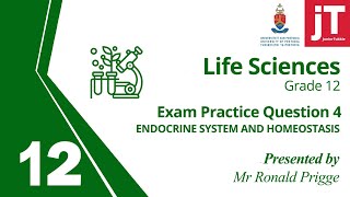 6 Gr 12  Life Sciences  Endocrine System  Exam Practice Question 4 [upl. by Aremaj]