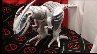 Roboraptor History amp Teardown WowWee Remote Control Raptor Dinosaur [upl. by Elery741]