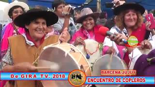 ENCUENTRO de COPLEROS 2018 BARCENA JUJUY [upl. by Namwen]