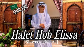 Halet Hob  Elissa  – کلمات حالۃ حب  الیسا Full Song 🎧 SlowedReverb [upl. by Esinev]