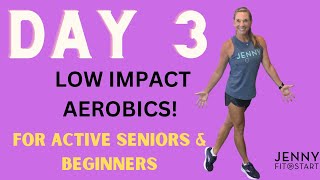 Day 3  LOW IMPACT AEROBICS Old School Moves [upl. by Bruce]