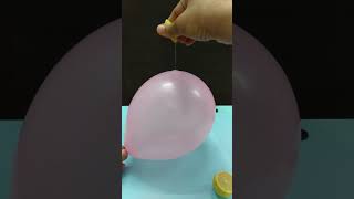 balloonexperiment Balloon  Lemon Lemon pop the balloon [upl. by Doowron333]