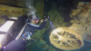 Scuba Diving Girls Wreck diving Kogyo Maru Coron Philippines [upl. by Leay]