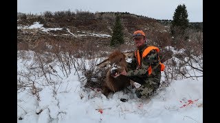 Colorado Elk Hunt 3rd Season Success [upl. by Pattie751]