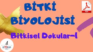 Bitki Biyolojisi I Bitkisel Dokular1 I Meristem Dokular I Kambiyum [upl. by Salta]