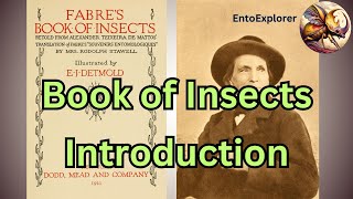 Introduction to Fabres Book of Insects [upl. by Olecram]