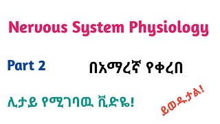 Physiology Neurophysiology General Nervous Tissue Helpful Video Lecture in Amharic Speech Part 2 [upl. by Raouf848]