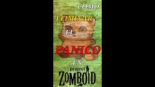 IMPORTANTE SACAR PANICO antes de PELEAR en Project Zomboid [upl. by Frieder]